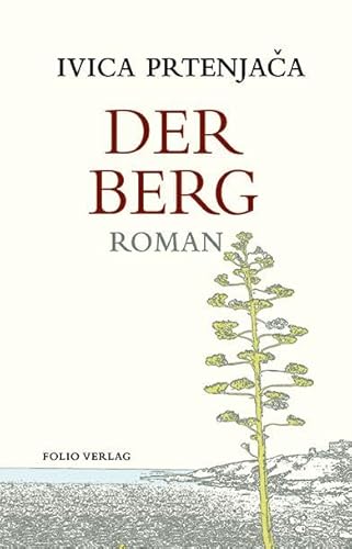 Der Berg (Transfer Bibliothek): Roman
