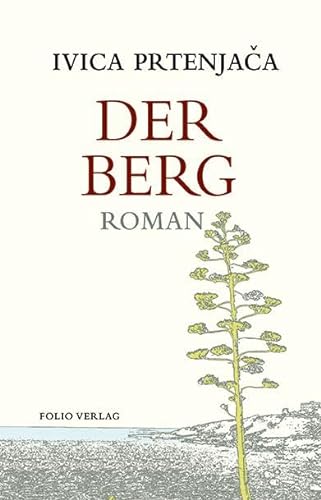 Der Berg (Transfer Bibliothek): Roman