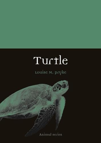 Turtle (Animal)