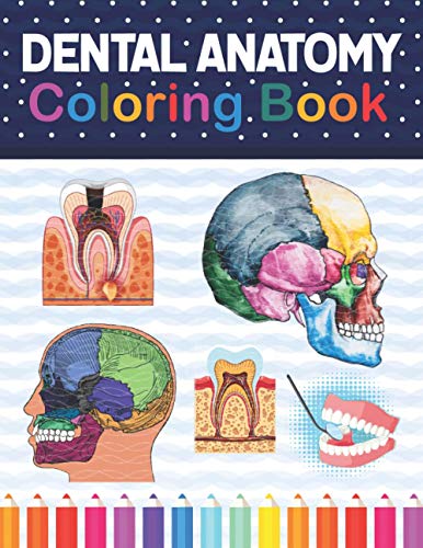 Dental Anatomy Coloring Book: Fun and Easy Adult Coloring Book for Dental Assistants, Dental Students, Dental Hygienists, Dental Therapists, ... Dentists. Dental Assisting Exam Review Book. von Independently published