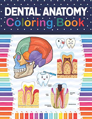 Dental Anatomy Coloring Book: Fun and Easy Adult Coloring Book for Dental Assistants, Dental Students, Dental Hygienists, Dental Therapists, Periodontists and Dentists. Dental Assisting Notes.