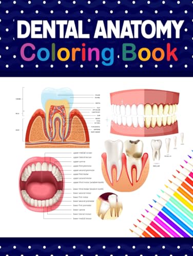Dental Anatomy Coloring Book: Learn the Basics of Dental Anatomy. Perfect for Cute Children's, Kids, Boys, Girls, Dental Assistants, Periodontists and ... It Will Be Very Helpful For Dental Students. von Independently published