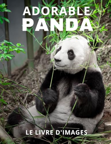 Adorable Panda: Le livre d'images du panda pour les personnes âgées et les patients atteints de démence (Photo d'illustration - Animaux). von Independently published