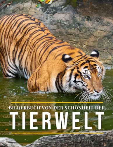 Bilderbuch Von Der Schönheit Der Tierwelt: Ein Fotobuch mit Wildtrieren zur Unterstützung des Gedächtnisses von Senioren und Erwachsenen mit Demenz oder Alzheimer. Bilderbuch Von Der Schönheit Der Tierwelt: Ein Fotobuch mit Wildtrieren zur Unterstützung des Gedächtnisses von Senioren und Erwachsenen mit Demenz oder Alzheimer. von Independently published