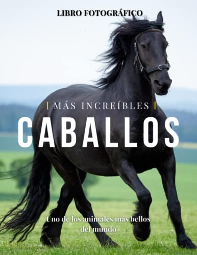 Caballos Más Increíbles: La Fotografía de Caballos Maravillosos para Niños, Demencia, Ancianos y Alzheimer, Amantes de los Caballos (Libro de imágenes). von Independently published