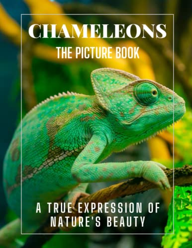 Chameleons: A collection of photographs of Beautiful Chameleons for Kids, Dementia, Seniors, and Alzheimer's, (Picture Book).