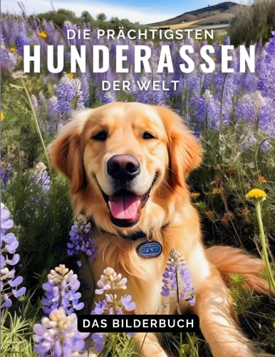 Die Prächtigsten Hunderassen Der Welt: Ein farbenfrohes Buch für Alzheimer, Senioren oder Demenz mit einer Vielzahl von Hunderassen, Großdruck für ... zur Unterstützung bei Gedächtnisverlust. Die Prächtigsten Hunderassen Der Welt: Ein farbenfrohes Buch für Alzheimer, Senioren oder Demenz mit einer Vielzahl von Hunderassen, Großdruck für ... zur Unterstützung bei Gedächtnisverlust. von Independently published