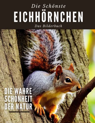 Eichhörnchen: Eine Sammlung von Fotografien von Wunderbares Eichhörnchen für Kinder, Demenzkranke, Senioren und Alzheimer, Eichhörnchen-Liebhaber (Bilderbuch).