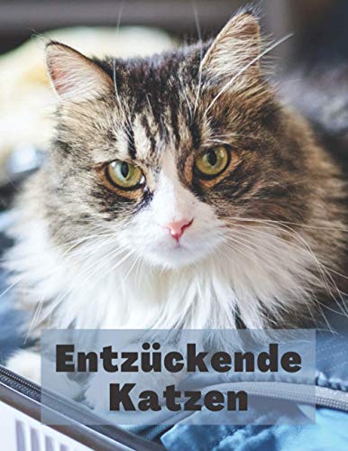 Entzückende Katzen: Katzen Bilderbuch für Kinder, Senioren und Alzheimer-Patienten - alternde Eltern - Haustiere Katzen Kätzchen Tiere. Entzückende Katzen: Katzen Bilderbuch für Kinder, Senioren und Alzheimer-Patienten - alternde Eltern - Haustiere Katzen Kätzchen Tiere. von Independently published