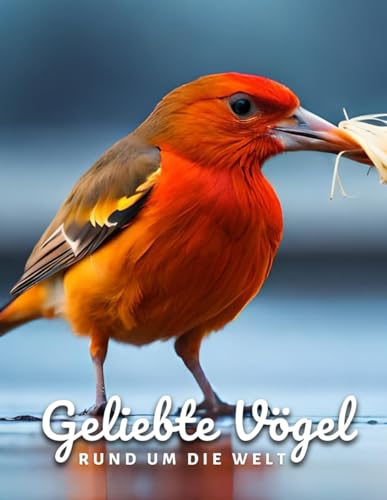 Geliebte Vögel Rund Um Die Welt: Wunderschöne Vogelfotos für Senioren, Demenzkranke und Vogelliebhaber. Geliebte Vögel Rund Um Die Welt: Wunderschöne Vogelfotos für Senioren, Demenzkranke und Vogelliebhaber. von Independently published