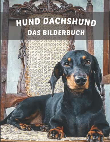 Hund Dachshund Das Bilderbuch: Das Bilderbuch des erstaunlichen Hundes Dackel für Senioren, demente Hundeliebhaber, Erwachsene mit Alzheimer und zur ... Patienten, die an Gedächtnisverlust leiden. Hund Dachshund Das Bilderbuch: Das Bilderbuch des erstaunlichen Hundes Dackel für Senioren, demente Hundeliebhaber, Erwachsene mit Alzheimer und zur ... Patienten, die an Gedächtnisverlust leiden. von Independently published