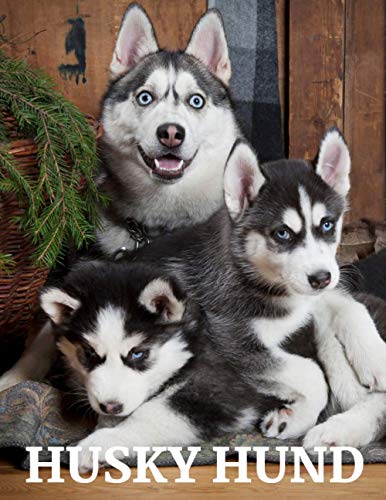 Husky Hund: Das Bilderbuch von Amazing Huskey Dog für Kinder, Alzheimer, Senior mit Demenz. Husky Hund: Das Bilderbuch von Amazing Huskey Dog für Kinder, Alzheimer, Senior mit Demenz.