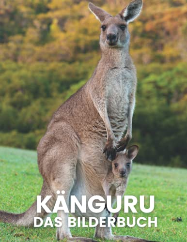 Känguru: Das Bilderbuch des schönen Kängurus für Kinder, Alzheimer, Patienten, Senioren mit Demenz. Känguru: Das Bilderbuch des schönen Kängurus für Kinder, Alzheimer, Patienten, Senioren mit Demenz.