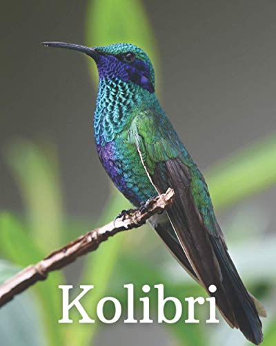 Kolibri: Das Bilderbuch der Kolibris Ideal für Parkinson Alzheimer & Senioren mit Demenz. Kolibri: Das Bilderbuch der Kolibris Ideal für Parkinson Alzheimer & Senioren mit Demenz.