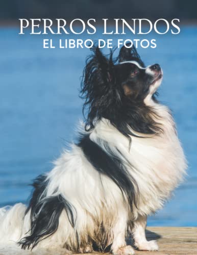 Perros Lindos: Fotografías de perros lindos para los niños, los amantes de los perros, la demencia, las personas mayores con Alzheimer, y los pacientes para ayudar a la pérdida de memoria. Perros Lindos: Fotografías de perros lindos para los niños, los amantes de los perros, la demencia, las personas mayores con Alzheimer, y los pacientes para ayudar a la pérdida de memoria. von Independently published
