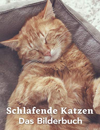 Schlafende Katzen: Fotobuch für Katzenliebhaber & Bilder von Katzenkindern, Demenz, Alzheimer und Patienten. Schlafende Katzen: Fotobuch für Katzenliebhaber & Bilder von Katzenkindern, Demenz, Alzheimer und Patienten.