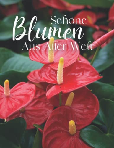 Schöne Blumen As Aller Welt: Die Fotografie von Schöne Blumen für Demenz, Senioren und Alzheimer, (Bilderbuch). von Independently published