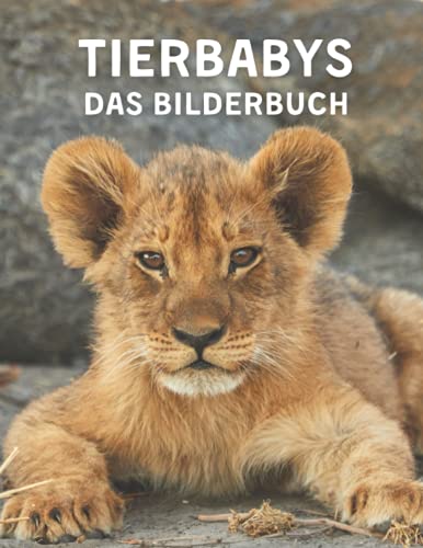 Tierbabys: 40 wunderschöne Tierbabys für Demenz-Senioren und Alzheimer-Patienten helfen bei Gedächtnisverlust. Tierbabys: 40 wunderschöne Tierbabys für Demenz-Senioren und Alzheimer-Patienten helfen bei Gedächtnisverlust.