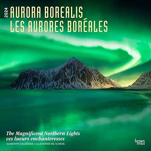 Aurora Borealis | Les aurores boréales | 2024 12 x 24 Inch Monthly Square Wall Calendar | Foil Stamped Cover | English/French Bilingual | BrownTrout | USA Alaska Northern Lights