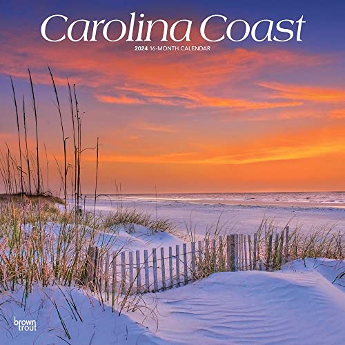 Carolina Coast | 2024 12 x 24 Inch Monthly Square Wall Calendar | BrownTrout | USA United States of America Southeast State Nature