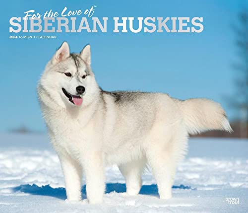 For the Love of Siberian Huskies | 2024 14 x 24 Inch Monthly Deluxe Wall Calendar | Foil Stamped Cover | BrownTrout | Animal Dog Breeds Husky