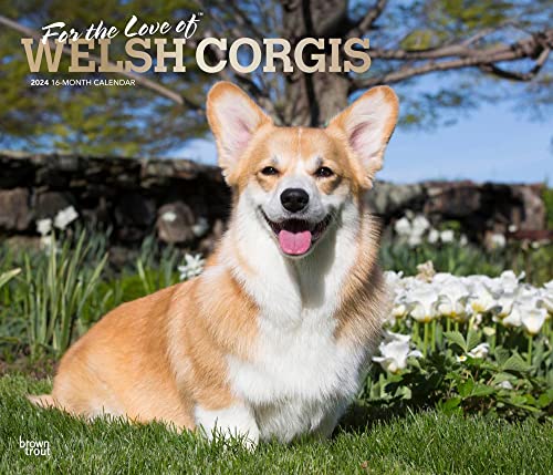 For the Love of Welsh Corgis | 2024 14 x 24 Inch Monthly Deluxe Wall Calendar | Foil Stamped Cover | BrownTrout | Animal Dog Breeds