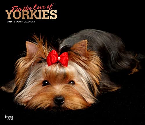 For the Love of Yorkshire Terriers | 2024 14 x 24 Inch Monthly Deluxe Wall Calendar | Foil Stamped Cover | BrownTrout | Animal Small Dog Breeds