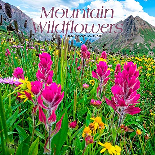 Mountain Wildflowers | 2024 12 x 24 Inch Monthly Square Wall Calendar | BrownTrout | Floral Outdoor Plant Nature Mountain Wildflowers | 2024 12 x 24 Inch Monthly Square Wall Calendar | BrownTrout | Floral Outdoor Plant Nature