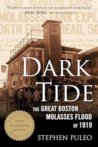 Dark Tide: The Great Boston Molasses Flood of 1919 von Beacon Press