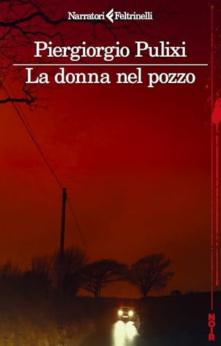 La donna nel pozzo (I narratori)