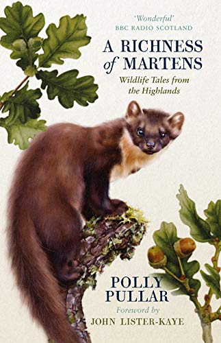 A Richness of Martens: Wildlife Tales from Ardnamurchan von Birlinn