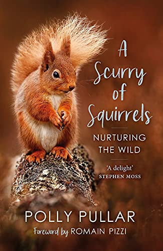 A Scurry of Squirrels: Nurturing the Wild von Birlinn Ltd