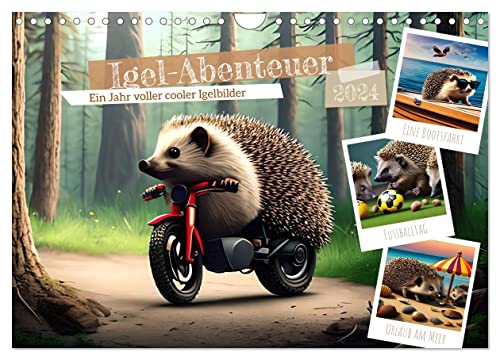 Igel-Abenteuer (Wandkalender 2024 DIN A4 quer), CALVENDO Monatskalender von CALVENDO
