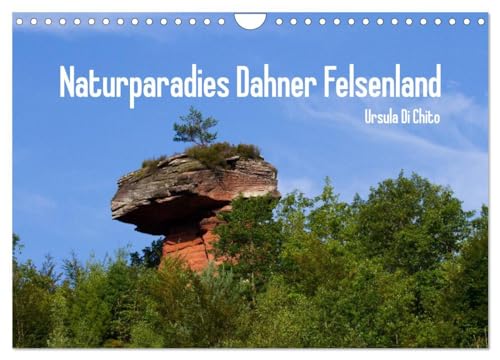 Naturparadies Dahner Felsenland (Wandkalender 2024 DIN A4 quer), CALVENDO Monatskalender: Naturimpressionen aus dem Dahner Felsenland von CALVENDO