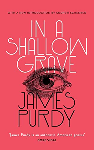 In a Shallow Grave (Valancourt 20th Century Classics) von Valancourt Books