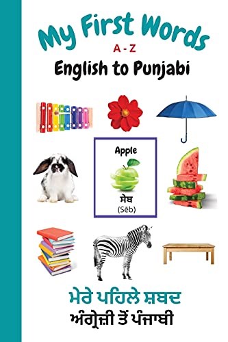 My First Words A - Z English to Punjabi: Bilingual Learning Made Fun and Easy with Words and Pictures (My First Words Language Learning Series, Band 8) von Dunhill Clare Publishing