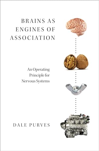 Brains as Engines of Association: An Operating Principle for Nervous Systems
