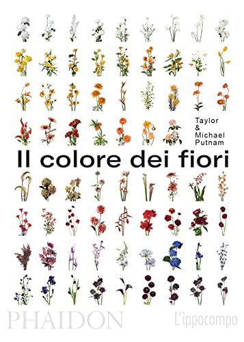 Il colore dei fiori von L'Ippocampo