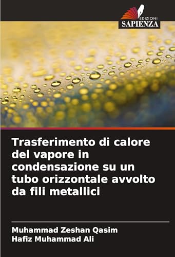 Trasferimento di calore del vapore in condensazione su un tubo orizzontale avvolto da fili metallici von VDM Verlag
