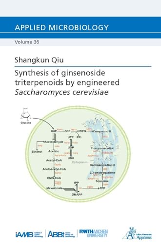 Synthesis of ginsenoside triterpenoids by engineered Saccharomyces cerevisiae (Applied Microbiology) von Apprimus Verlag