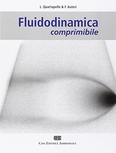 Fluidodinamica comprimibile Fluidodinamica comprimibile von CEA
