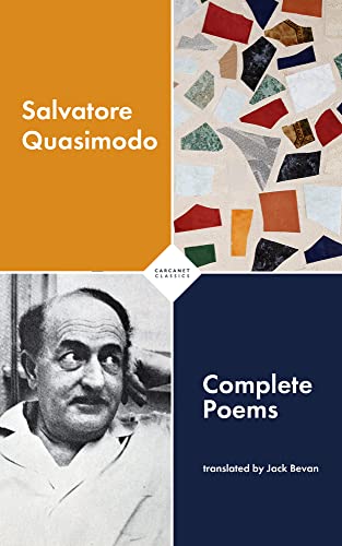 Complete Poems von Carcanet Classics