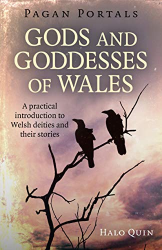 Pagan Portals - Gods and Goddesses of Wales: A practical introduction to Welsh Deities and their stories