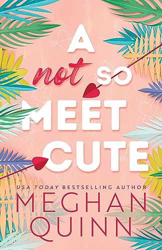A Not So Meet Cute (Cane Brothers, 1) von Bloom Books