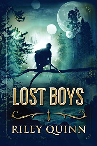 Lost Boys: Book One of the Lost Boys Trilogy von West Bay Publishing