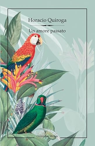 Un amore passato (Oltre l'orizzonte) von Orizzonte Milton Editore