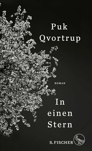 In einen Stern: Roman
