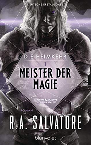 Die Heimkehr 1 - Meister der Magie: Roman von Blanvalet