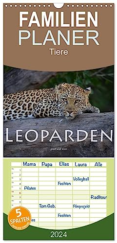 Familienplaner 2024 - Leoparden - groß und klein mit 5 Spalten (Wandkalender, 21 cm x 45 cm) CALVENDO