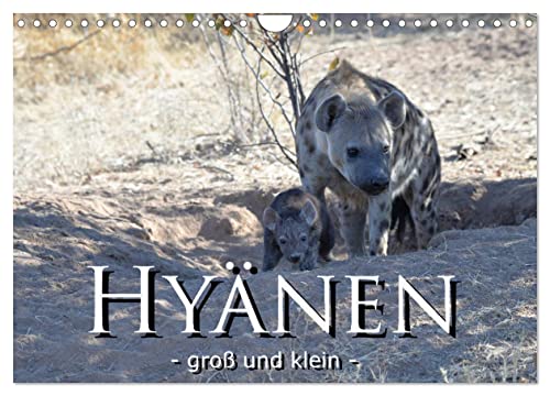Hyänen - groß und klein (Wandkalender 2024 DIN A4 quer), CALVENDO Monatskalender